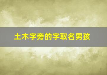 土木字旁的字取名男孩