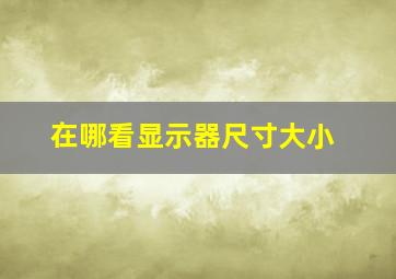 在哪看显示器尺寸大小