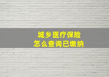 城乡医疗保险怎么查询已缴纳