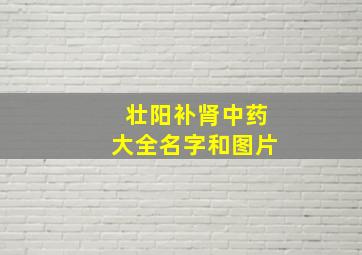 壮阳补肾中药大全名字和图片