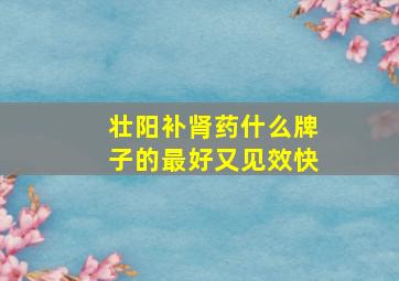 壮阳补肾药什么牌子的最好又见效快