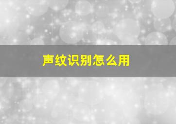 声纹识别怎么用