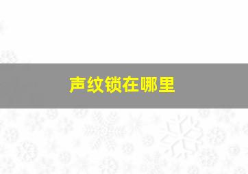 声纹锁在哪里