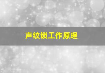 声纹锁工作原理