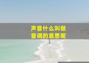 声音什么叫做音调的意思呢