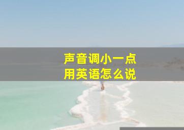 声音调小一点用英语怎么说