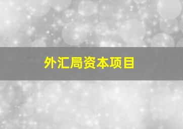 外汇局资本项目