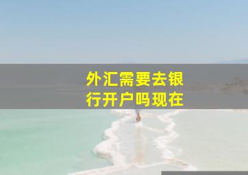 外汇需要去银行开户吗现在