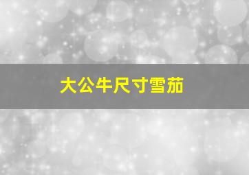 大公牛尺寸雪茄