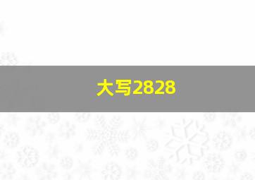 大写2828