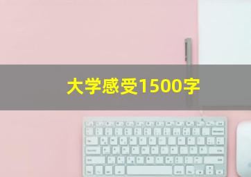 大学感受1500字