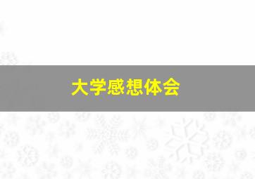 大学感想体会