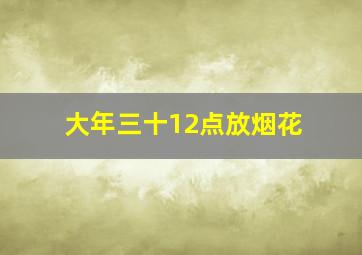 大年三十12点放烟花