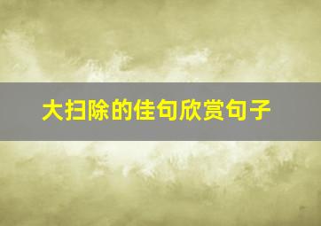 大扫除的佳句欣赏句子