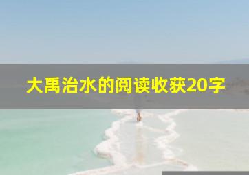 大禹治水的阅读收获20字