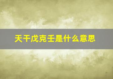 天干戊克壬是什么意思