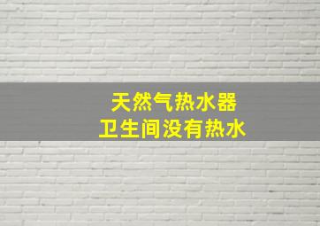 天然气热水器卫生间没有热水