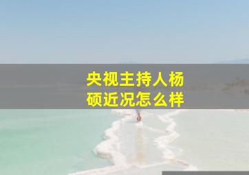 央视主持人杨硕近况怎么样