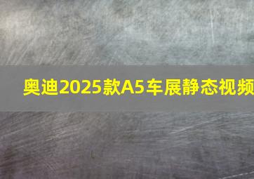 奥迪2025款A5车展静态视频