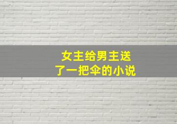 女主给男主送了一把伞的小说