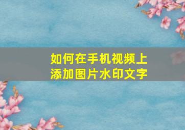 如何在手机视频上添加图片水印文字