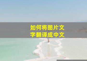 如何将图片文字翻译成中文