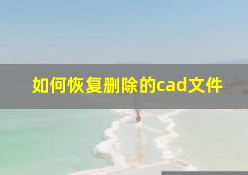 如何恢复删除的cad文件