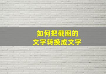 如何把截图的文字转换成文字