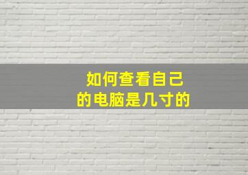 如何查看自己的电脑是几寸的