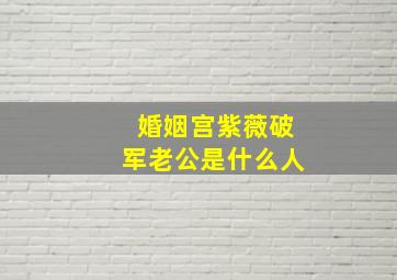 婚姻宫紫薇破军老公是什么人