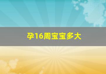 孕16周宝宝多大