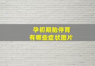 孕初期胎停育有哪些症状图片