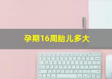 孕期16周胎儿多大