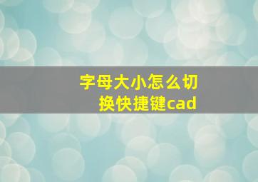 字母大小怎么切换快捷键cad