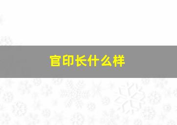 官印长什么样