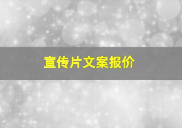 宣传片文案报价