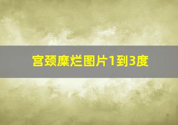 宫颈糜烂图片1到3度