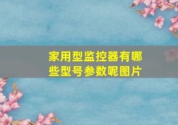 家用型监控器有哪些型号参数呢图片