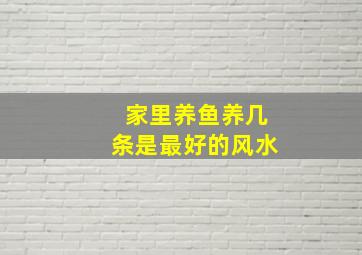 家里养鱼养几条是最好的风水