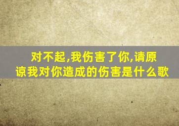 对不起,我伤害了你,请原谅我对你造成的伤害是什么歌