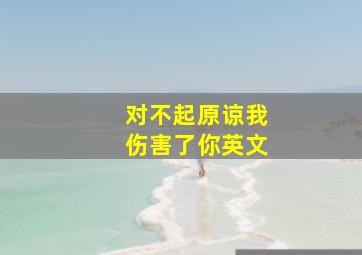 对不起原谅我伤害了你英文