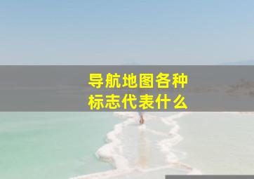 导航地图各种标志代表什么