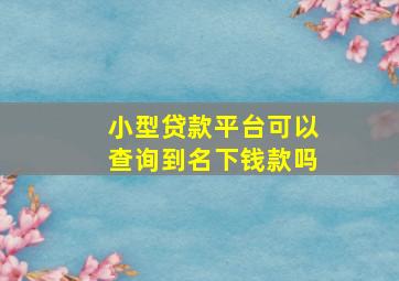 小型贷款平台可以查询到名下钱款吗