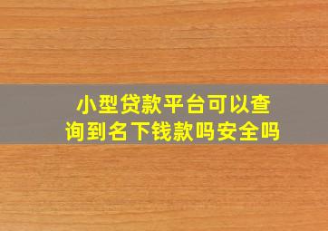 小型贷款平台可以查询到名下钱款吗安全吗