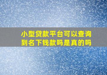 小型贷款平台可以查询到名下钱款吗是真的吗