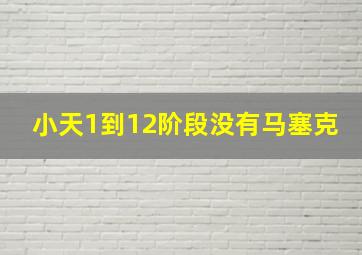 小天1到12阶段没有马塞克