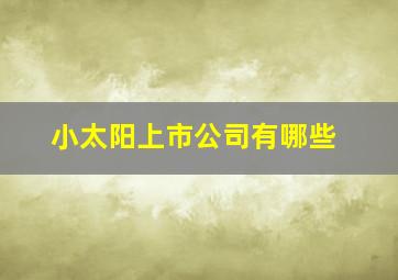 小太阳上市公司有哪些