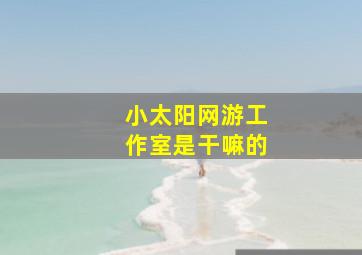 小太阳网游工作室是干嘛的