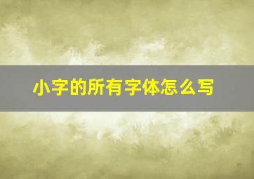 小字的所有字体怎么写