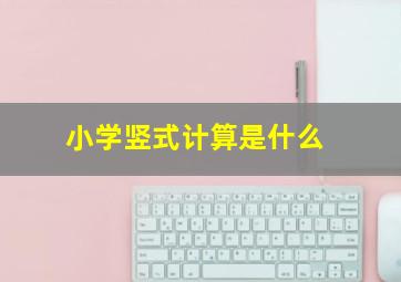 小学竖式计算是什么